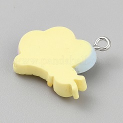 Подвески из непрозрачной смолы&nbsp;LS-RESI-CJC0020-37M