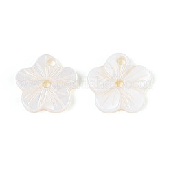 Пуговицы из натуральных пресноводных раковин SHEL-N038-11