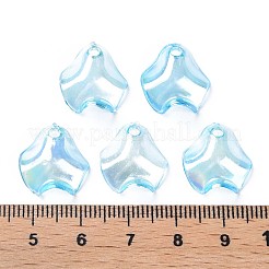 Прозрачные акриловые подвески&nbsp;MACR-S373-106-C01