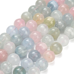 Природные морганит нитей бисера G-H329-C10-10mm-A