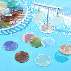 48 шт. 8 цвета натуральный Capiz ракушка соединительные подвески&nbsp;BSHE-SC0001-31