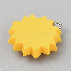 Подвески из непрозрачной смолы&nbsp;LS-RESI-CJC0020-37K