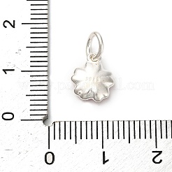 925 подвеска из стерлингового серебра с индийской красной эмалью&nbsp;STER-C014-01C-S