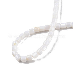 Нити бусин из натуральных пресноводных ракушек SHEL-N003-33-B01