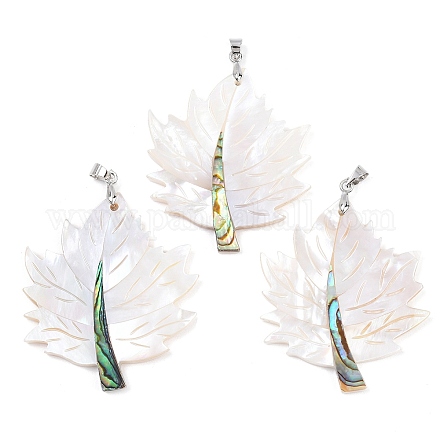 Подвески из натуральных ракушек пауа и белых ракушек KK-C135-03P-1