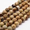 Natural Picture Jasper Beads Strands, Faceted, Round, 6mm, Hole: 1mm, about 61pcs/strand, 14.9 inch~15.1 inch