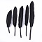 Goose Feather Costume Accessories, Dyed, Black, 105~157x16~22mm, about 500pcs/bag