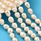 Natural Cultured Freshwater Pearl Beads Strands, Rice, Grade 4A+, PeachPuff, 10~11mm, Hole: 0.5mm, about 28~31pcs/strand, 34cm