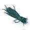 Goose feather Costume Accessories, Dyed, Cadet Blue, 80~250x3~5mm, about 200pcs/bundle