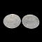 Flat Round Capiz Shell Big Pendants, WhiteSmoke, 60x1mm, Hole: 2mm