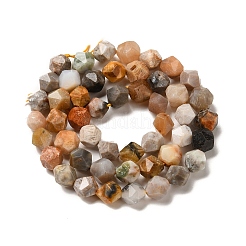 Природные окаменелые коралловые бусы пряди G-K382-A07-02