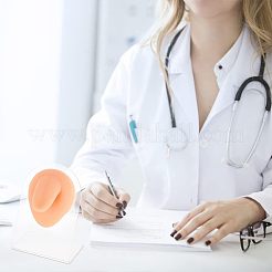 Мягкий силиконовый язычок гибкая модель дисплея части тела с акриловыми подставками&nbsp;ODIS-WH0002-23