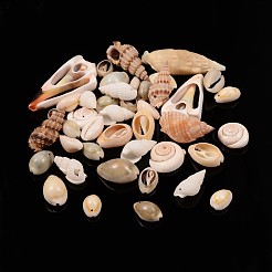 Натуральные бусины из ракушек-трубочек BSHE-MSMC001-M1