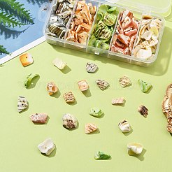 125 г 5-х цветов натуральных бусин-ракушек BSHE-FS0001-06B