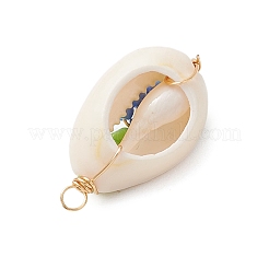 10 шт. подвески из натуральной ракушки каури 10 цветов PALLOY-MZ00321