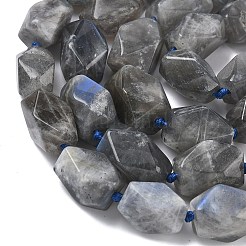 Природные лабрадорита бисер нитей&nbsp;G-C270-F01