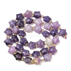 Натуральные лепидолитовые бусины G-Z080-A02-10mm