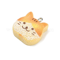 Подвески из непрозрачной смолы RESI-Q020-05B