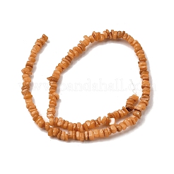 Бусины из натуральных пресноводных ракушек SHEL-B003-01H