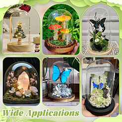 2 шт. 2-х стилистическая стеклянная крышка-купол&nbsp;AJEW-NB0007-12