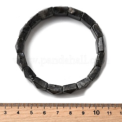 Натуральные бусины ларвикита эластичные браслеты для женщин и мужчин BJEW-C097-06-06