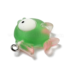 Подвески из непрозрачной смолы&nbsp;X-RESI-D055-095P