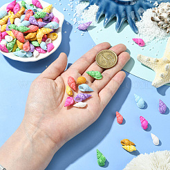 500 шт. окрашенные натуральные бусины из ракушек SSHEL-SC0001-33