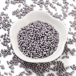 Выпечка краска стеклянные бусины SEED-A033-05C