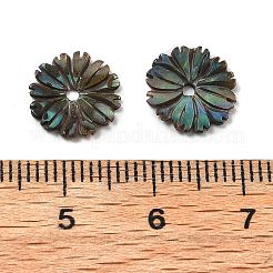 Резные бусины из натуральной ракушки пауа SSHEL-Z002-04