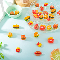 30шт 6 стиля непрозрачные подвески из смолы&nbsp;RESI-TA0004-05