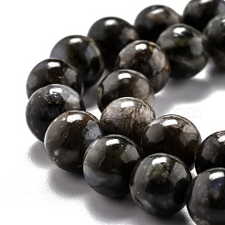 Бусины из натурального глаукофана G-O199-01C