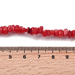 Бусины из натуральных пресноводных ракушек&nbsp;SHEL-B003-01C