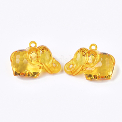 Прозрачные акриловые подвески&nbsp;TACR-S133-117