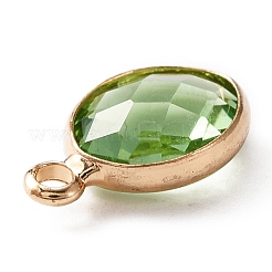 Граненые подвески стекла KK-WH0046-59G-08