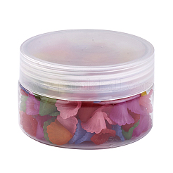 Прозрачные акриловые бусины&nbsp;FACR-JP0001-01