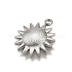 Подвески из нержавеющей стали 304&nbsp;LS-STAS-M116-09P