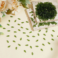 500шт прозрачные акриловые подвески&nbsp;TACR-ME0001-02A