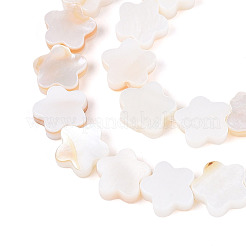 Нити бусин из натуральных пресноводных ракушек&nbsp;SHEL-S276-111A