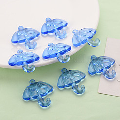 Прозрачные акриловые подвески TACR-T024-01B-940