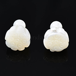 Бусины из натуральных трохоидных/трохус ракушек SSHEL-N032-39