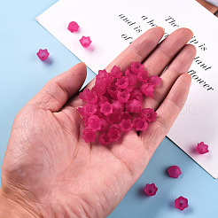 Прозрачные акриловые шарики PL543-12