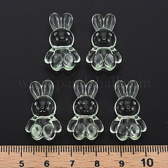 Прозрачные акриловые бусины MACR-S373-81-B02