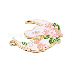 Подвески из эмали и сплава&nbsp;ENAM-E002-01G-01