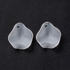 Подвески матовым акриловым&nbsp;OACR-G014-02