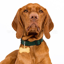 10 шт. подвески из нержавеющей стали 304 двух цветов STAS-BBC0007-20