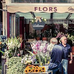 Добро пожаловать знак натурального дерева дверь висит украшение для украшения входной двери HJEW-WH0008-51