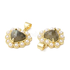 Природные подвески лабрадорита&nbsp;G-E599-05G-A01