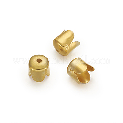 Железный шарик крышки&nbsp;IFIN-TA0001-07G