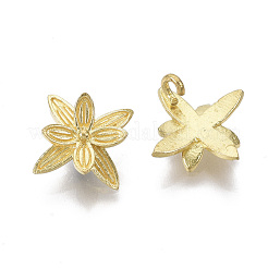 Латунь подвески&nbsp;KK-T057-018-NF