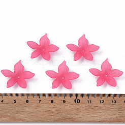 Прозрачные акриловые бусины MACR-S373-127-D01